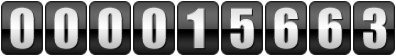 website counter