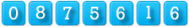 page hit counter