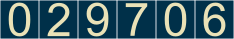 website hit counter