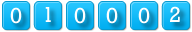 website hit counter