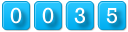 website hit counter