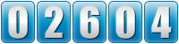 website counter