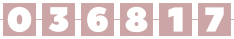 website counter